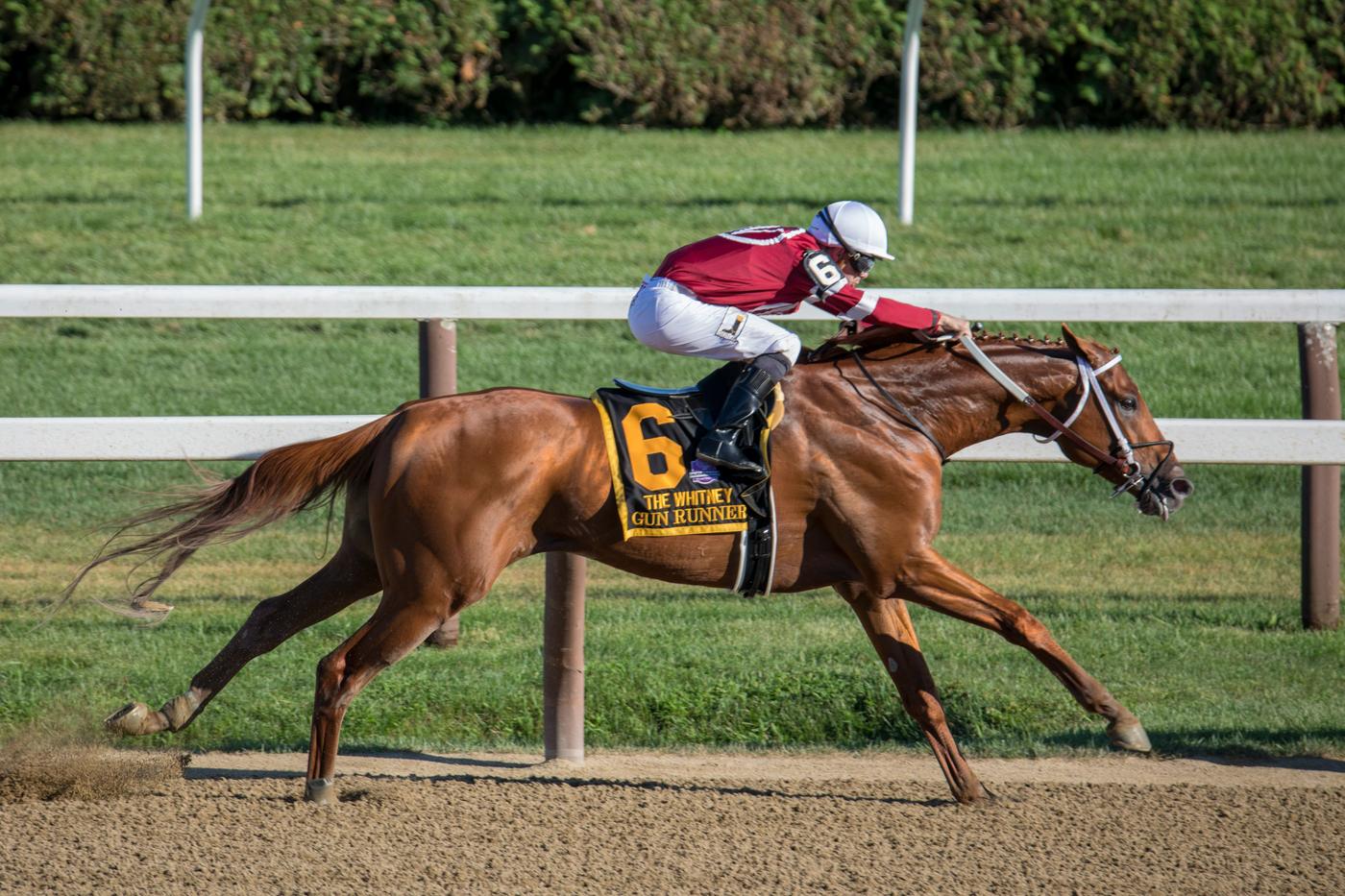Fuchsfarbener Galopper mit Jockey im roten Dress kurz vor dem Ziel / Chestnut racehorse with a jockey in red near the finish