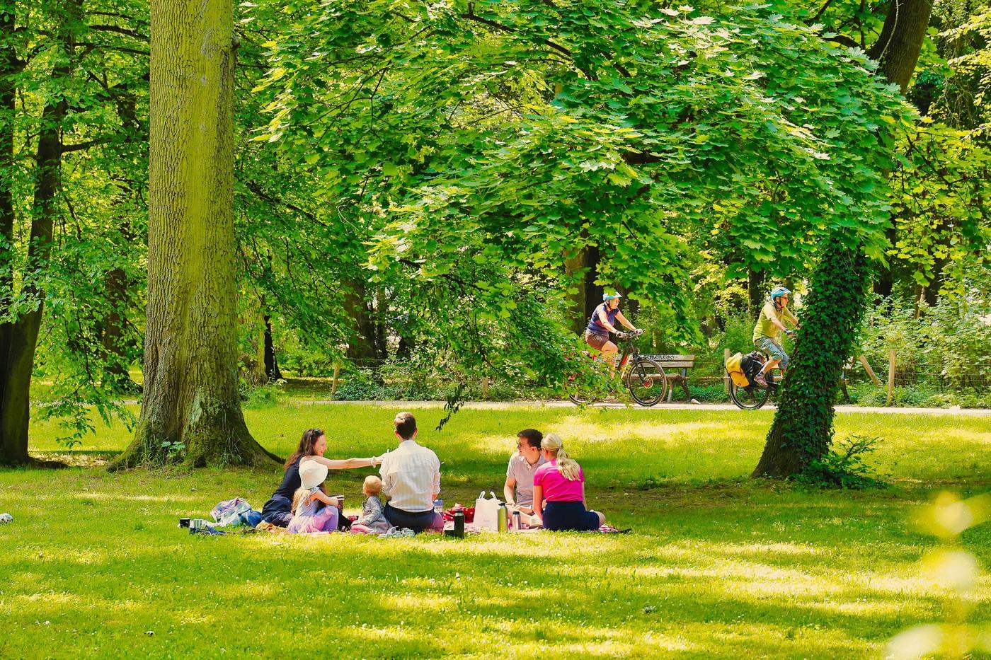 Menschen beim Picknick unter großen Bäumen, dahinter Radfahrer auf einem Parkweg / People having a picnic under tall trees, cyclists on a park path behind